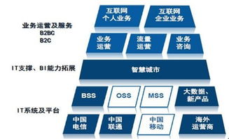 天源迪科（300047）更新研究報告 聚焦政企與運(yùn)營商雙輪驅(qū)動，深化軟件外包服務(wù)布局