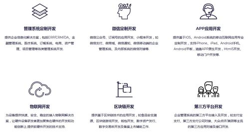 軟件開發(fā)外包服務(wù) 定義、模式、優(yōu)勢與選擇指南